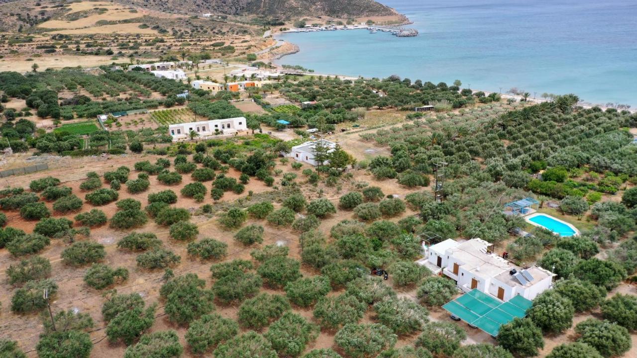 Voula'S Casa Di Mare Appartement Palekastro Buitenkant foto