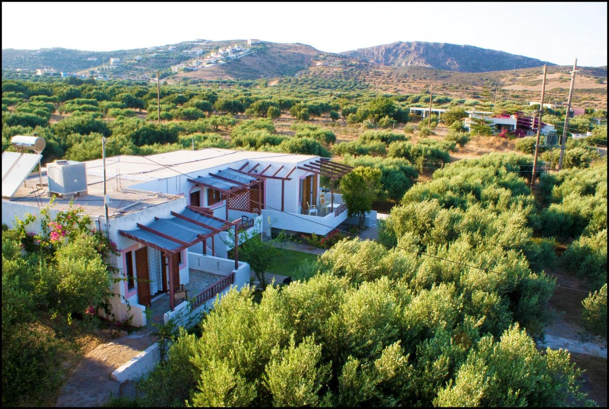 Voula'S Casa Di Mare Appartement Palekastro Buitenkant foto