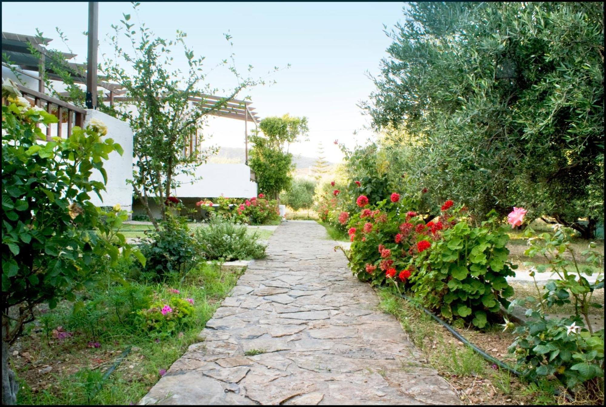 Voula'S Casa Di Mare Appartement Palekastro Buitenkant foto