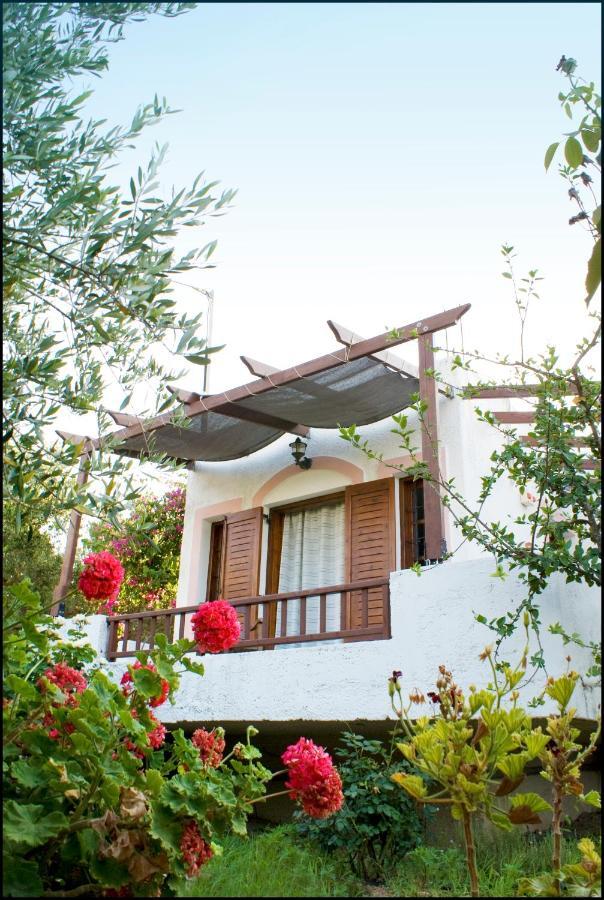 Voula'S Casa Di Mare Appartement Palekastro Kamer foto